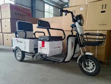 Электрический трицикл SHTENLI Model 34 2 в одном SLA 60/20 1000w